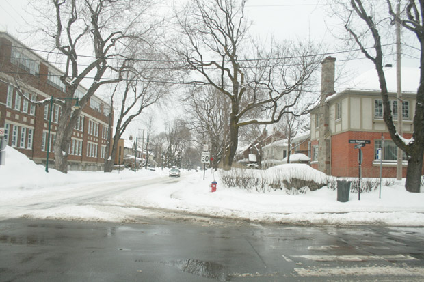 Photo:  Cornwall Avenue in TMR