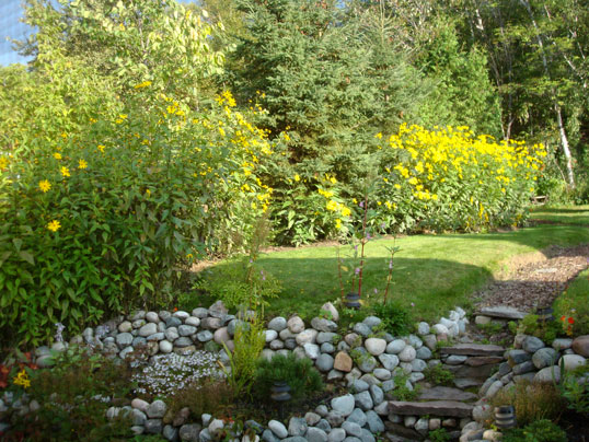 Photo of Ruth Bastin's garden