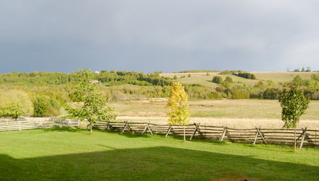 Photo of Hofman back yard